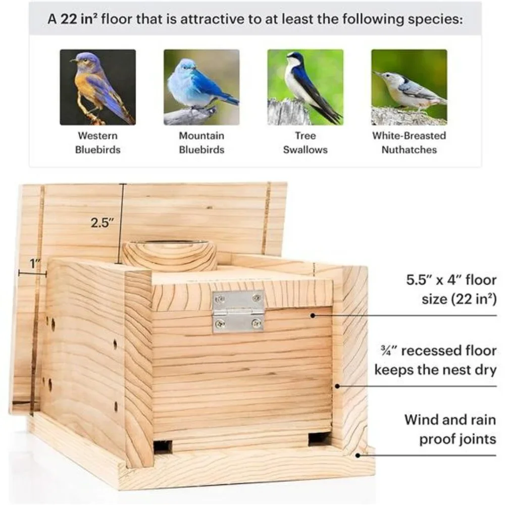 Premium Cedar Bird House - Weatherproof Design with a 22 sq inch Floor